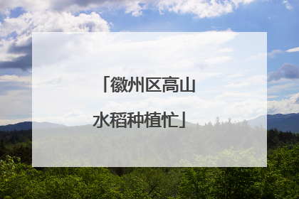 徽州区高山水稻种植忙