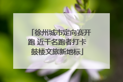徐州城市定向赛开跑 近千名跑者打卡鼓楼文旅新地标