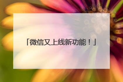 微信又上线新功能！