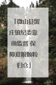 微山县留庄镇纪委靠前监督 保障夏粮颗粒归仓