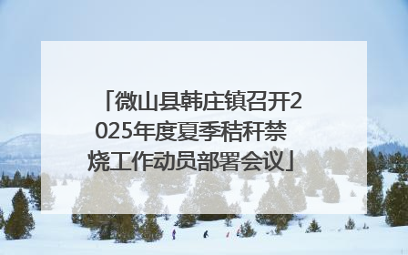 微山县韩庄镇召开2025年度夏季秸秆禁烧工作动员部署会议