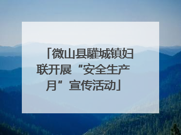 微山县驩城镇妇联开展“安全生产月”宣传活动