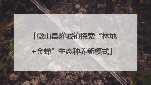 微山县驩城镇探索“林地+金蝉”生态种养新模式