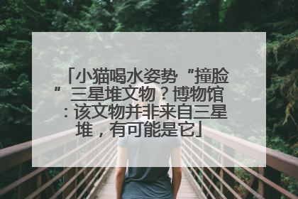 小猫喝水姿势“撞脸”三星堆文物？博物馆：该文物并非来自三星堆，有可能是它