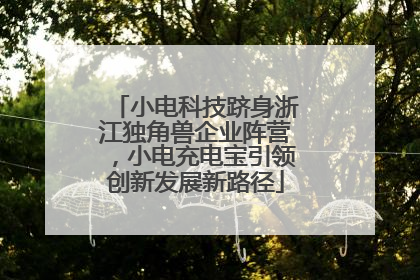 小电科技跻身浙江独角兽企业阵营，小电充电宝引领创新发展新路径