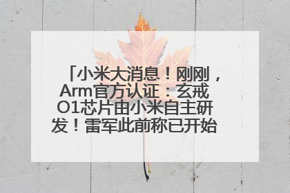 小米大消息！刚刚，Arm官方认证：玄戒O1芯片由小米自主研发！雷军此前称已开始大规模量产