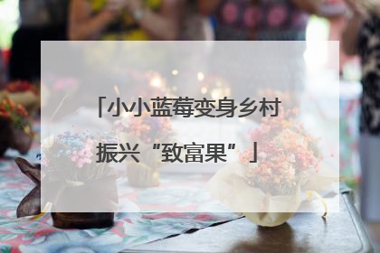 小小蓝莓变身乡村振兴“致富果”