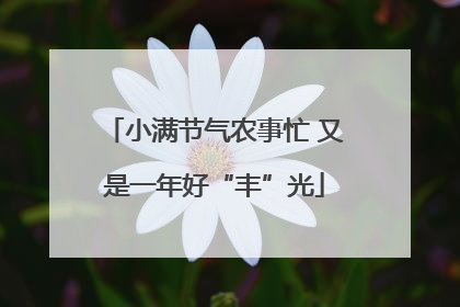 小满节气农事忙 又是一年好“丰”光