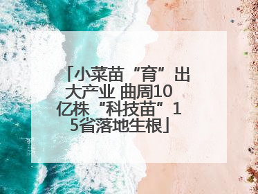 小菜苗“育”出大产业 曲周10亿株“科技苗”15省落地生根