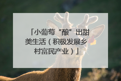 小葡萄“酿”出甜美生活（积极发展乡村富民产业）