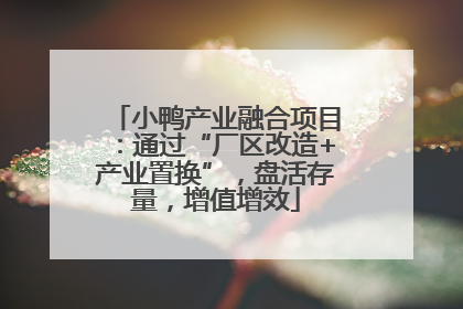 小鸭产业融合项目：通过“厂区改造+产业置换”，盘活存量，增值增效