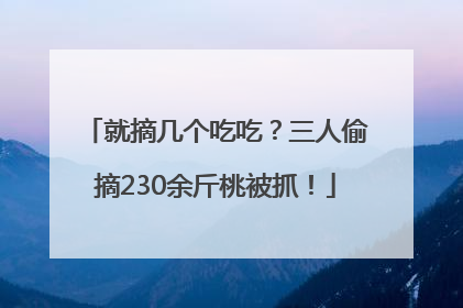 就摘几个吃吃？三人偷摘230余斤桃被抓！