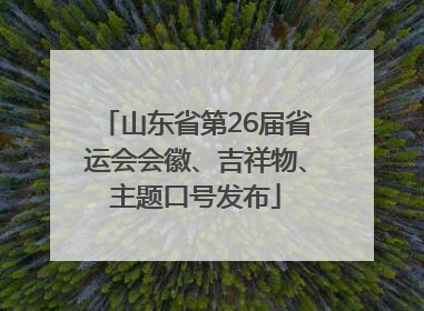 山东省第26届省运会会徽、吉祥物、主题口号发布