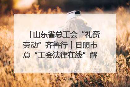 山东省总工会“礼赞劳动”齐鲁行｜日照市总“工会法律在线”解决职工愁“薪”事