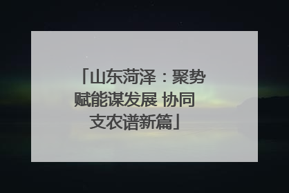 山东菏泽：聚势赋能谋发展 协同支农谱新篇