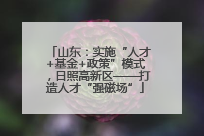 山东：实施“人才+基金+政策”模式，日照高新区——打造人才“强磁场”