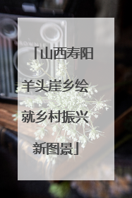 山西寿阳羊头崖乡绘就乡村振兴新图景