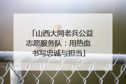 山西大同老兵公益志愿服务队：用热血书写忠诚与担当