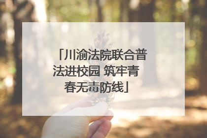 川渝法院联合普法进校园 筑牢青春无毒防线