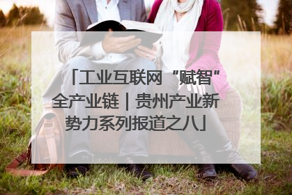 工业互联网“赋智”全产业链｜贵州产业新势力系列报道之八