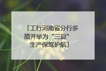 工行河南省分行多措并举为“三夏” 生产保驾护航