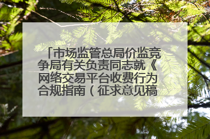 市场监管总局价监竞争局有关负责同志就《网络交易平台收费行为合规指南（征求意见稿）》答记者问