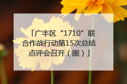 广丰区“1710”联合作战行动第15次总结点评会召开（图）