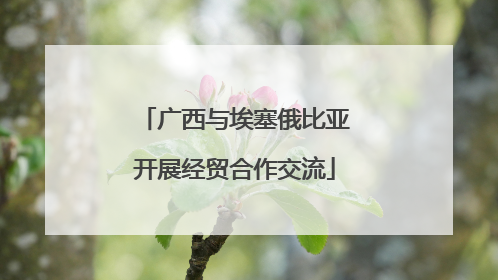 广西与埃塞俄比亚开展经贸合作交流