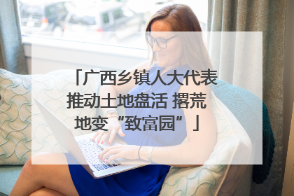 广西乡镇人大代表推动土地盘活 撂荒地变“致富园”