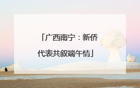 广西南宁：新侨代表共叙端午情