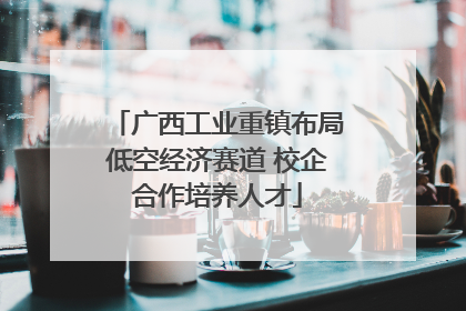 广西工业重镇布局低空经济赛道 校企合作培养人才