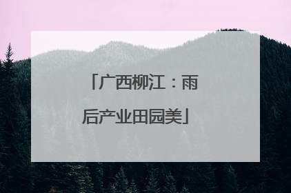 广西柳江：雨后产业田园美