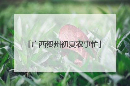 广西贺州初夏农事忙
