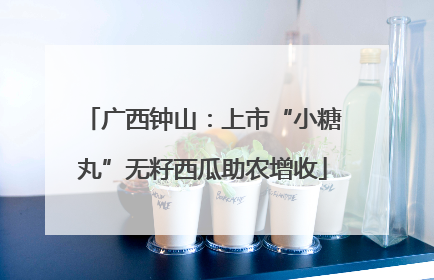 广西钟山：上市“小糖丸”无籽西瓜助农增收