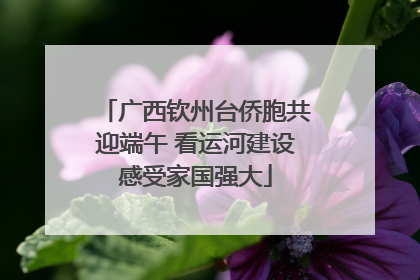 广西钦州台侨胞共迎端午 看运河建设感受家国强大