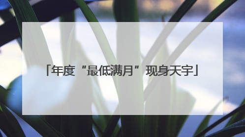 年度“最低满月”现身天宇