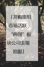 并购重组市场活跃 “两创”板块公司表现抢眼
