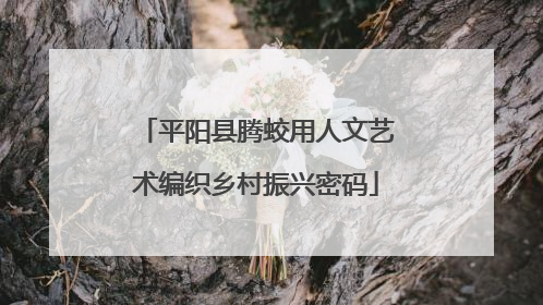 平阳县腾蛟用人文艺术编织乡村振兴密码