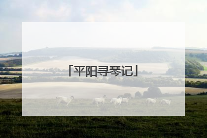 平阳寻琴记