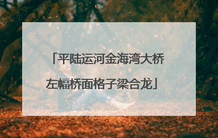 平陆运河金海湾大桥左幅桥面格子梁合龙