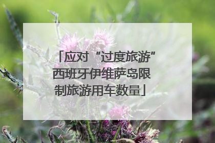 应对“过度旅游” 西班牙伊维萨岛限制旅游用车数量