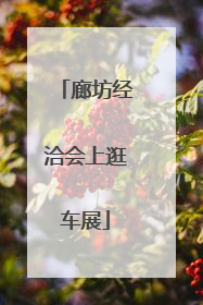 廊坊经洽会上逛车展