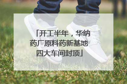 开工半年，华纳药厂原料药新基地四大车间封顶