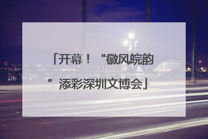 开幕！“徽风皖韵”添彩深圳文博会