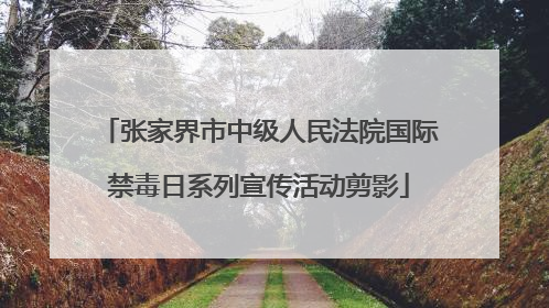 张家界市中级人民法院国际禁毒日系列宣传活动剪影