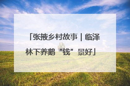 张掖乡村故事｜临泽林下养鹅“钱”景好