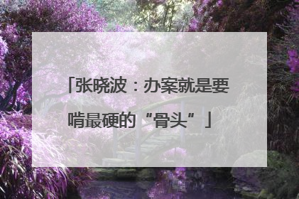 张晓波：办案就是要啃最硬的“骨头”