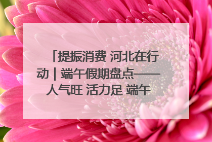 提振消费 河北在行动｜端午假期盘点——人气旺 活力足 端午经济“热浪”迭起