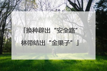 换种辟出“安全路” 林带结出“金果子”