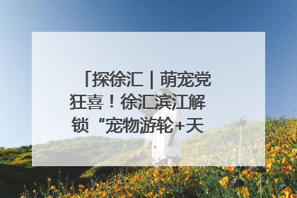 探徐汇|萌宠党狂喜!徐汇滨江解锁“宠物游轮+天台乐园”双玩法